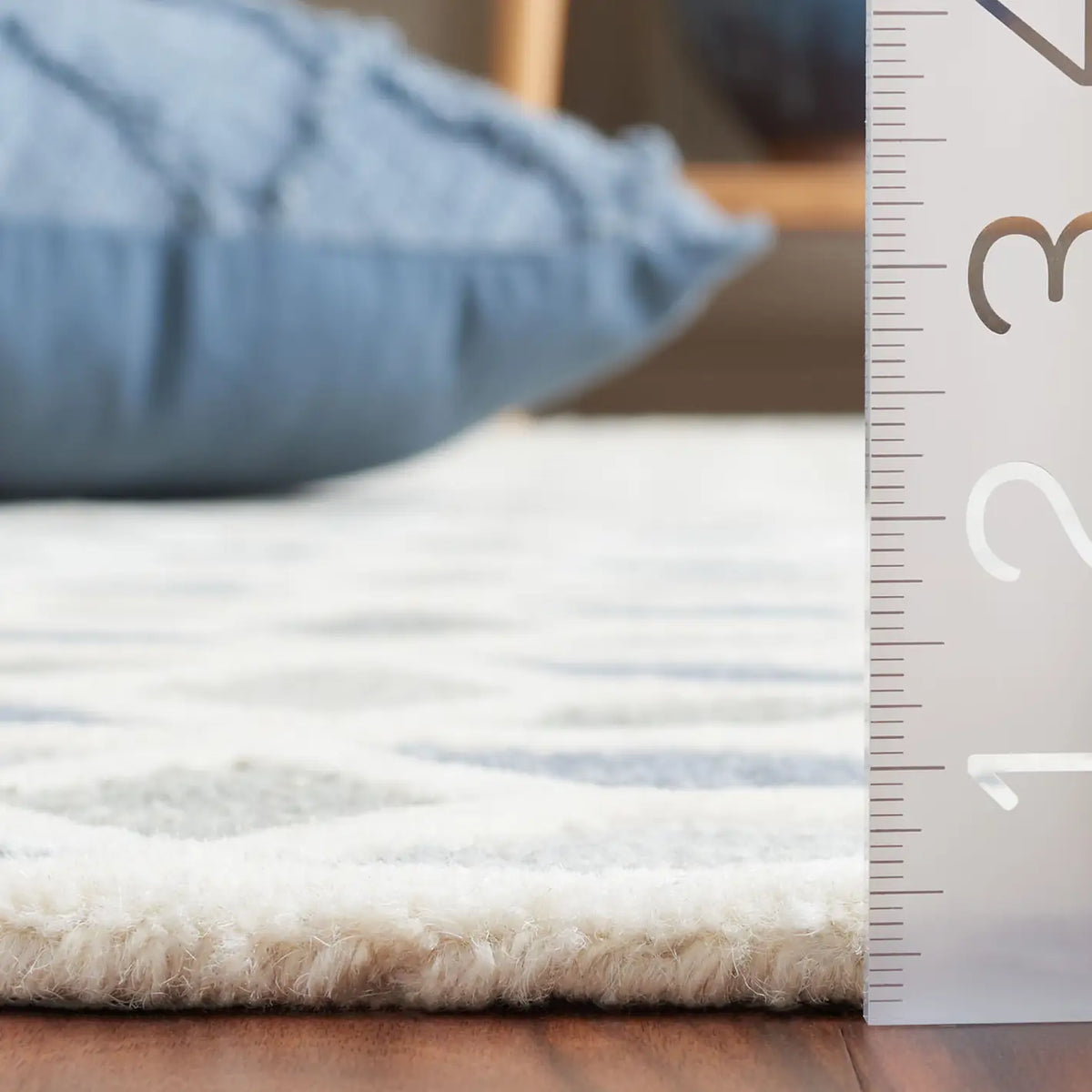 Safavieh Ebony 4'-0" x 6'-0" Rug in Ivory / Grey