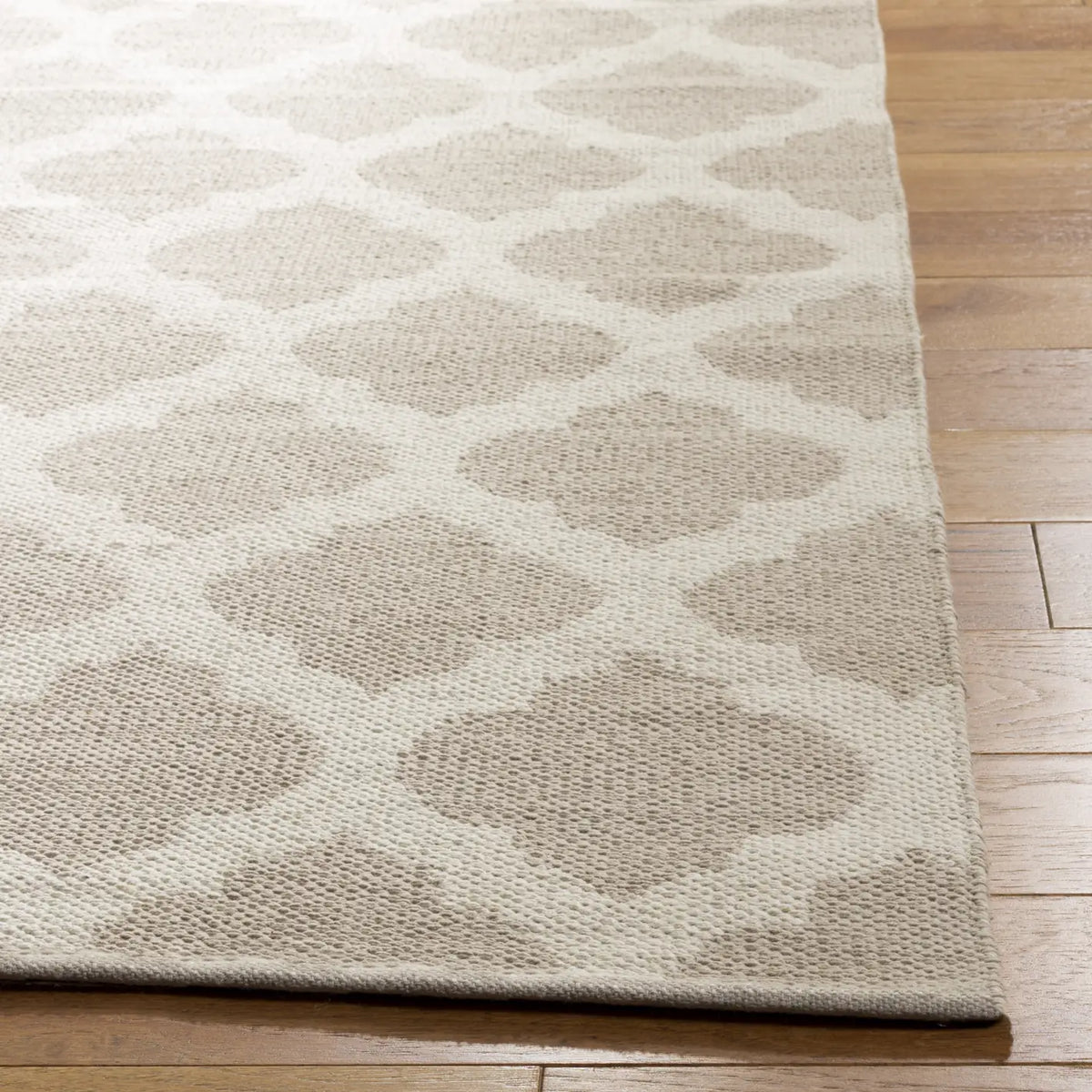 Safavieh Montauk 4'-0" x 6'-0" Rug in Grey / Ivory
