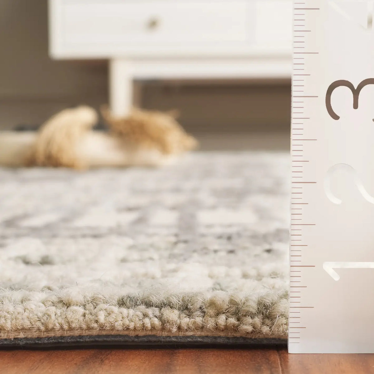 Safavieh Abstract 4'-0" x 6'-0" Rug in Ivory / Dark Grey