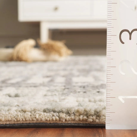 Safavieh Abstract 4'-0" x 6'-0" Rug in Ivory / Dark Grey