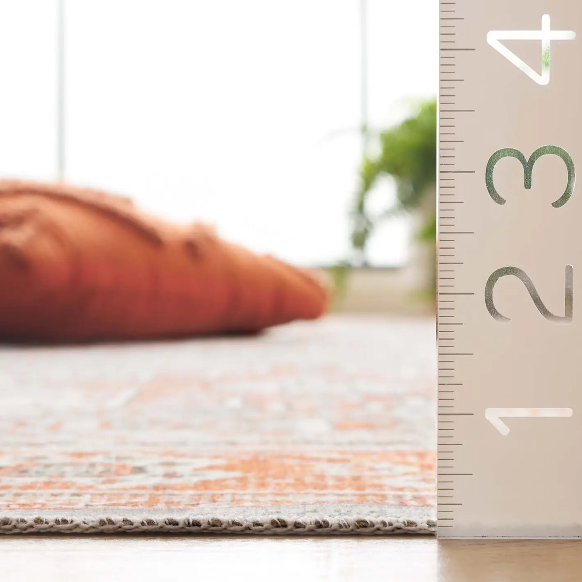 Safavieh Arizona 4'-0" x 6'-0" Rug in Rust / Sage
