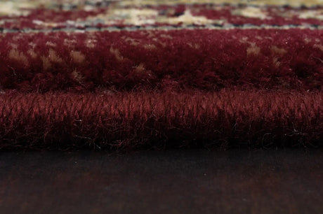Dynamic Rugs Ancient Garden 57158 Red / Ivory Rugs - Pile