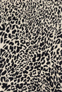 Loloi Masai Mas-02 Black / Ivory Rugs - main flat