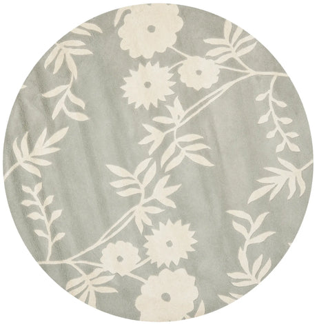 Safavieh Soho 6'-0" x 6'-0" Rug in Grey / Ivory