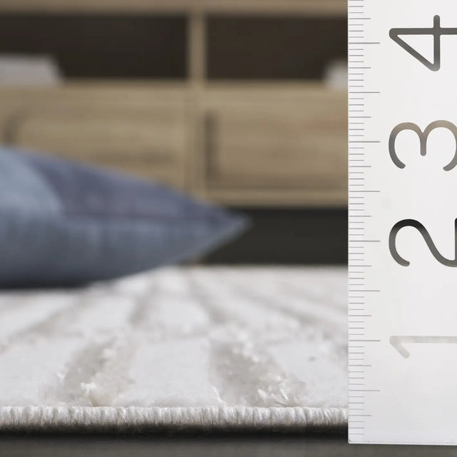 Safavieh Maya 4'-0" x 6'-0" Rug in Ivory