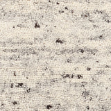 Chandra Zia ZIA-58500 White / Gray rug, close-up detail