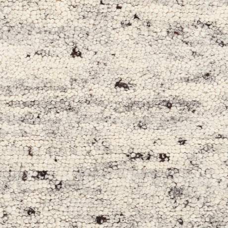 Chandra Zia ZIA-58500 White / Gray rug, close-up detail