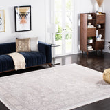 Safavieh Reflection 10'-0" x 14'-0" Rug in Light Grey / Cream