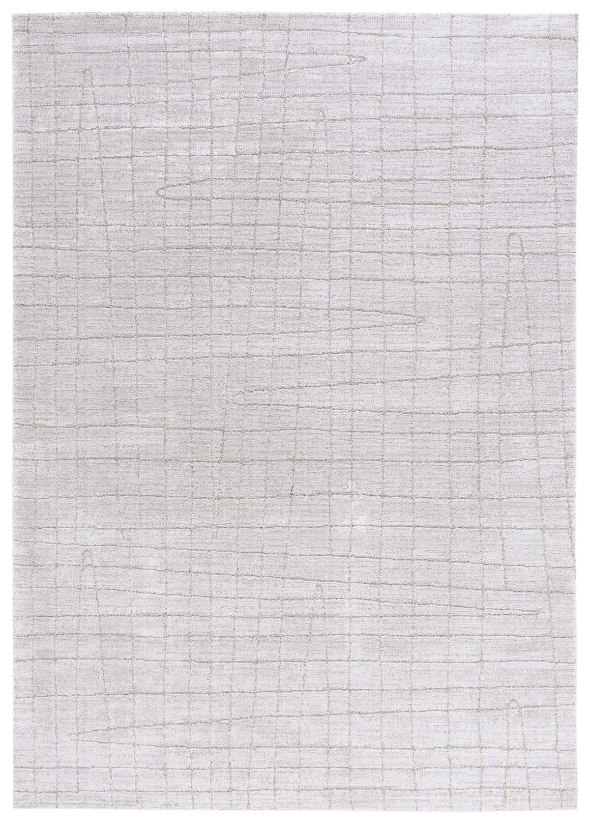 Safavieh Neptune 4'-0" x 6'-0" Rug in Light Grey / Grey