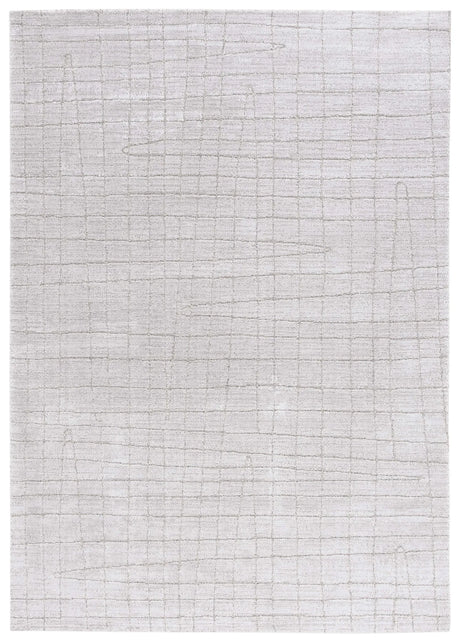 Safavieh Neptune 4'-0" x 6'-0" Rug in Light Grey / Grey