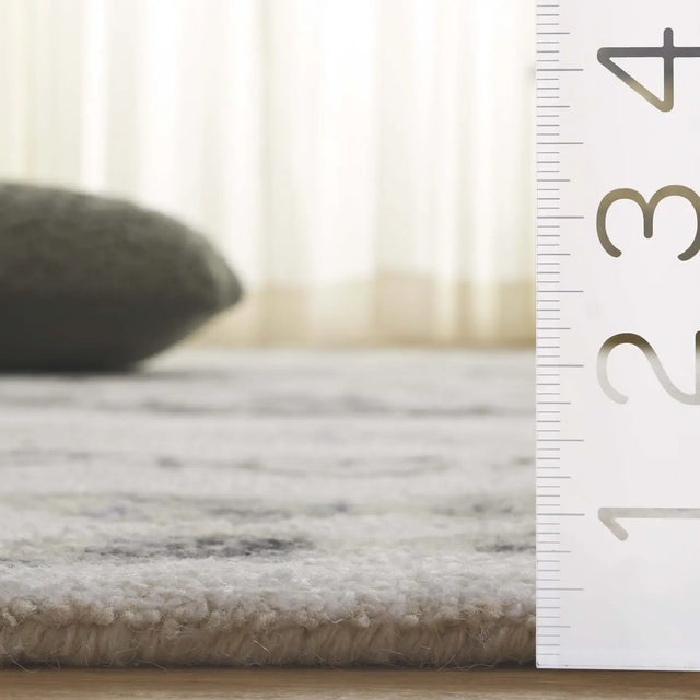 Safavieh Aspen 4'-0" x 6'-0" Rug in Ivory / Black