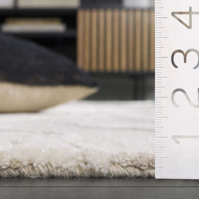 Safavieh Ebony 4'-0" x 6'-0" Rug in Grey / Ivory