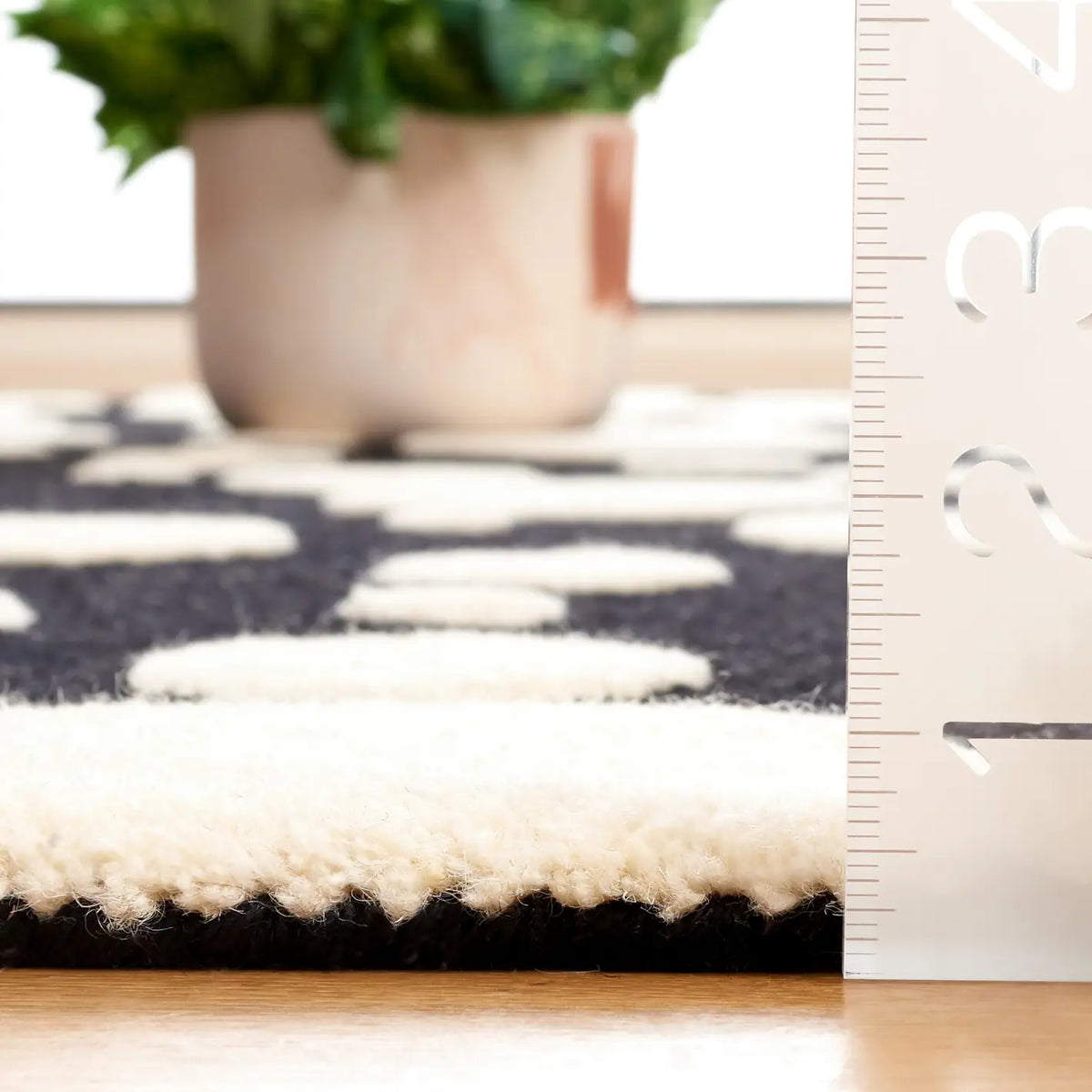 Safavieh Cambridge 4'-0" x 6'-0" Rug in Black / Ivory