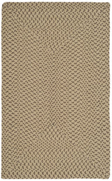 Safavieh Braided 2'-6" x 4'-0" Rug in Beige / Brown