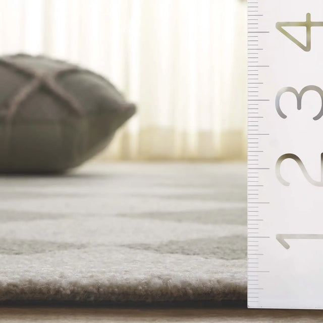 Safavieh Ebony 4'-0" x 6'-0" Rug in Green / Ivory