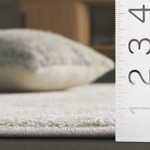 Safavieh Northport 4'-0" x 6'-0" Rug in Ivory / Grey