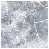Safavieh Cyrus Shag 6'-7" x 6'-7" Rug in Grey / Beige