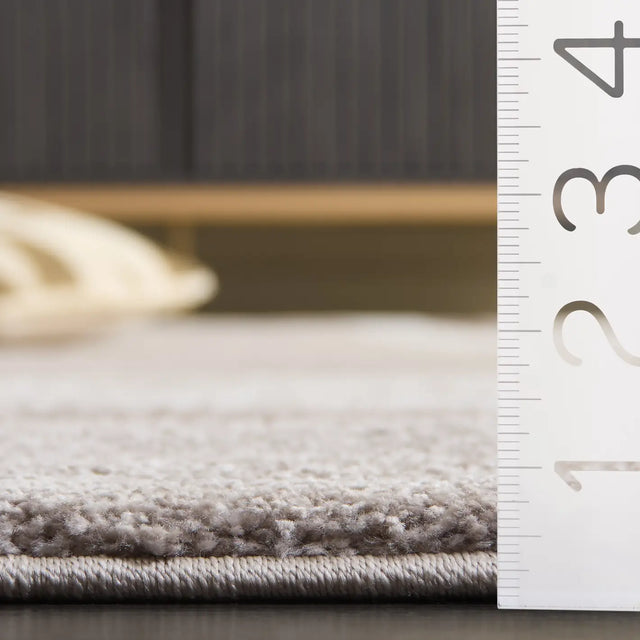 Safavieh Northport 800 4'-0" x 6'-0" Rug in Taupe / Ivory
