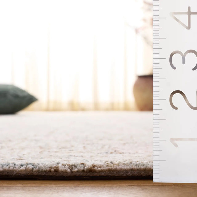 Safavieh Ebony 4'-0" x 6'-0" Rug in Beige / Rust
