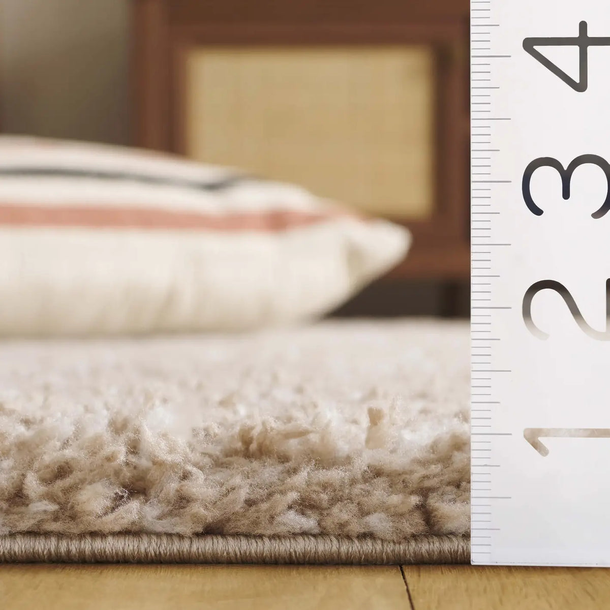 Safavieh Rumi Shag 4'-0" x 6'-0" Rug in Beige / Ivory