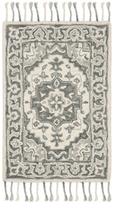 Safavieh Aspen 2'-0" x 3'-0" Rug in Grey / Light Grey