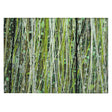 Addison Chantille ACN2126 Stripes Machine Made Transitional Green Rug