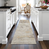 Addison Chantille ACN2145 Abstract Machine Made Transitional Putty Rug