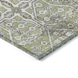 Addison Chantille ACN2197 Global Machine Made Traditional Aloe Rug