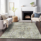 Addison Chantille ACN2197 Global Machine Made Traditional Aloe Rug