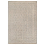 Amer Ainsley AIN-2 Light Blue area rug - product view
