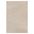 Amer Ainsley AIN-4 Moss Gray area rug - product view