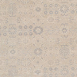Amer Ainsley AIN-4 Moss Gray area rug - color swatch view