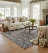 Amer Alaska ALA-4 Terra / Gray area rug - lifestyle view