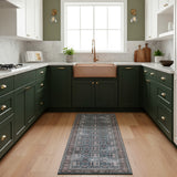 Amer Alaska ALA-5 Blue / Green area rug - lifestyle view