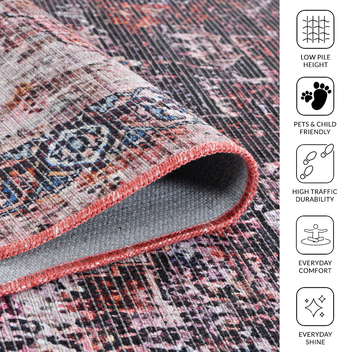 Amer Alaska ALA-1 Beige / Red area rug - infographic view
