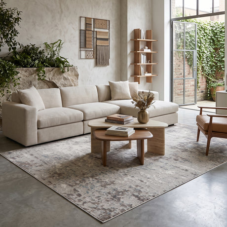 Amer Alpine ALP-1 Gray area rug - lifestyle view
