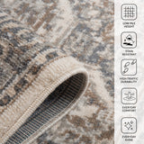 Amer Alpine ALP-11 Light Beige area rug - infographic view