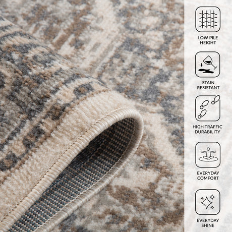 Amer Alpine ALP-11 Light Beige area rug - infographic view