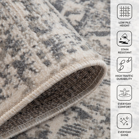 Amer Alpine ALP-4 Medium Gray area rug - infographic view