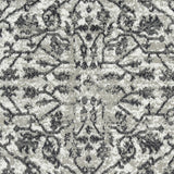 Amer Alpine ALP-7 Dark Gray area rug - color swatch view