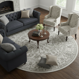 Amer Alpine ALP-8 Light Gray area rug - lifestyle view
