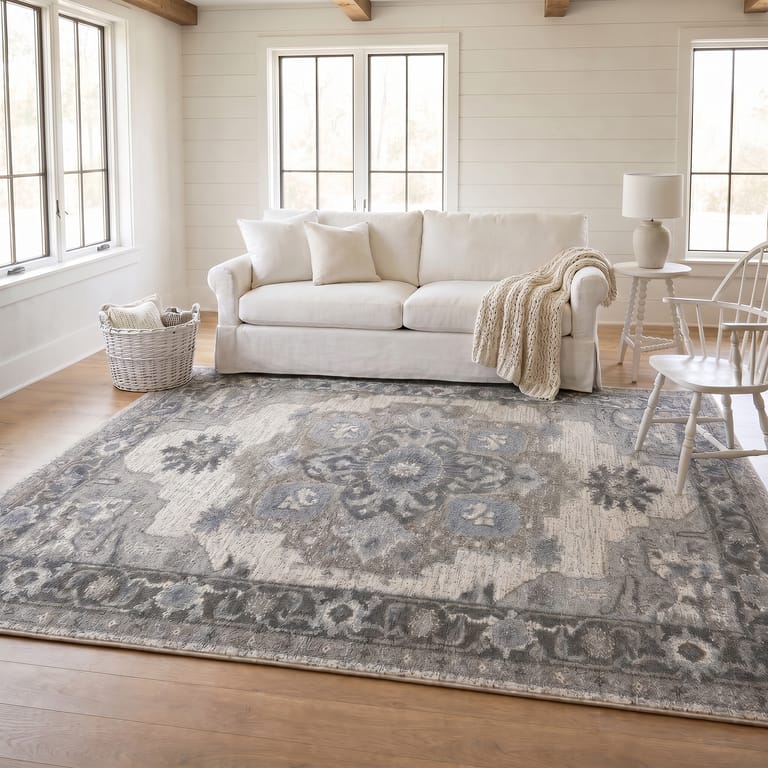 Amer Alexandria ALX-51 Ivory / Stone Gray area rug - lifestyle view
