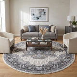 Amer Alexandria ALX-51 Ivory / Stone Gray area rug - lifestyle view