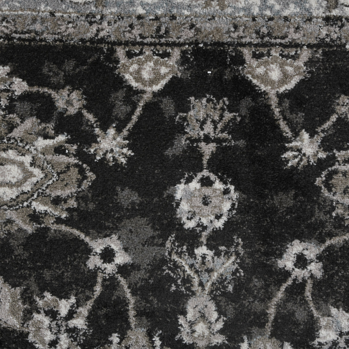 Amer Alexandria Classic Bordered Power-Loom Black/Ivory Area Rug
