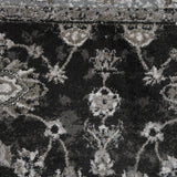 Amer Alexandria Classic Bordered Power-Loom Black/Ivory Area Rug