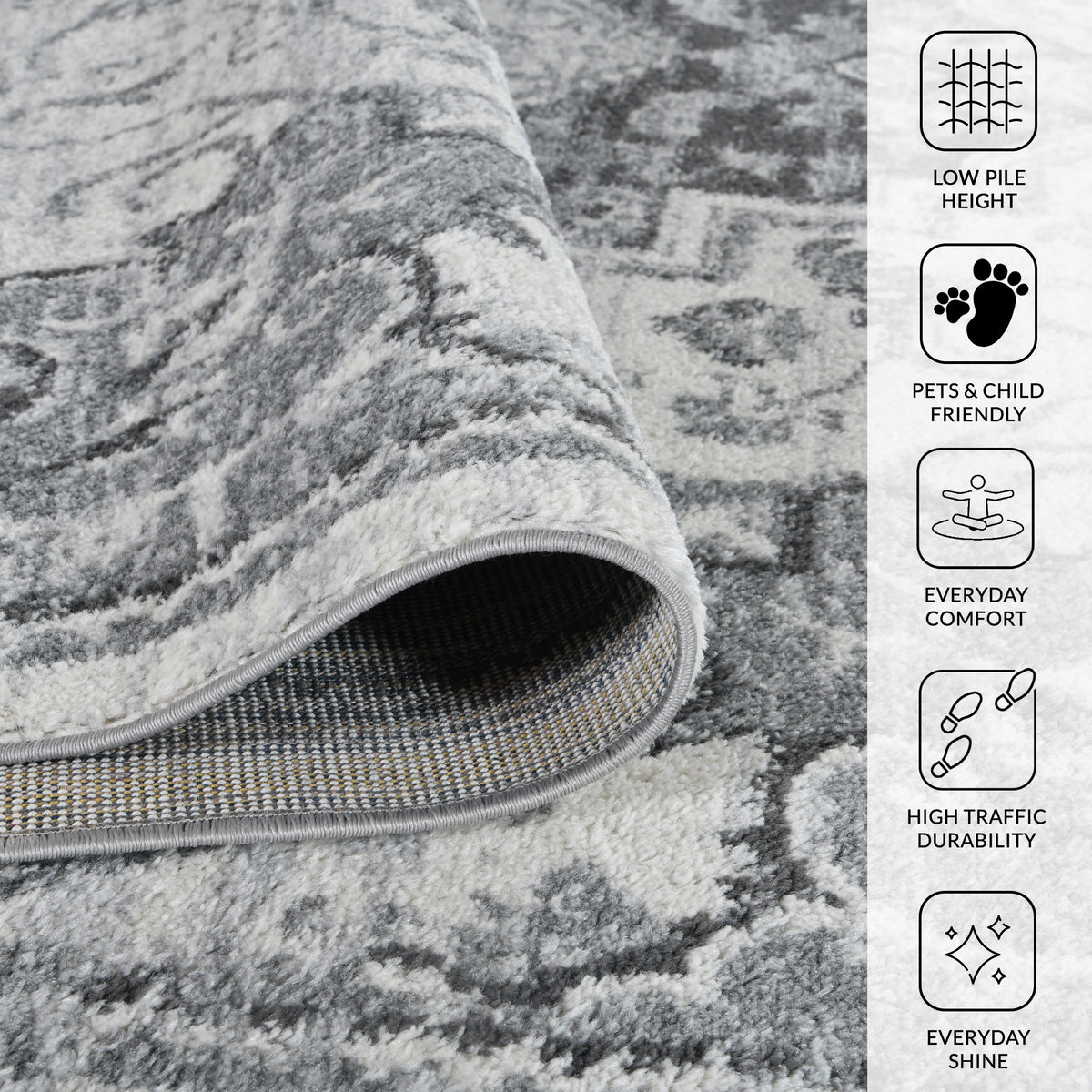 Amer Alexandria ALX-89 Dark Gray area rug - infographic view