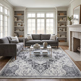 Amer Alexandria ALX-89 Dark Gray area rug - lifestyle view