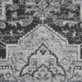 Amer Alexandria ALX-89 Dark Gray area rug - color swatch view