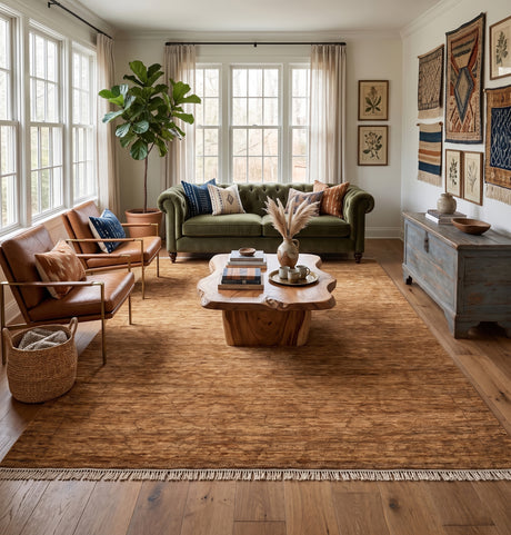 Amer Anna ANN-7 Rust / Orange area rug - lifestyle view