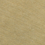 Amer Arizona ARZ-15 Camel area rug - close-up view